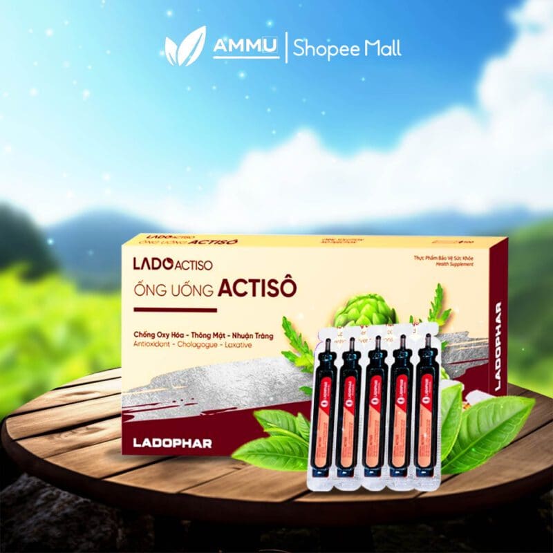 Cách bảo quản atiso để giữ được lâu 4 2 6