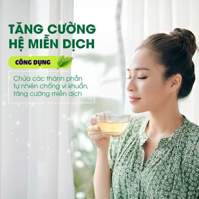 Atiso - thần dược cho gan khỏe mạnh 5 4 17