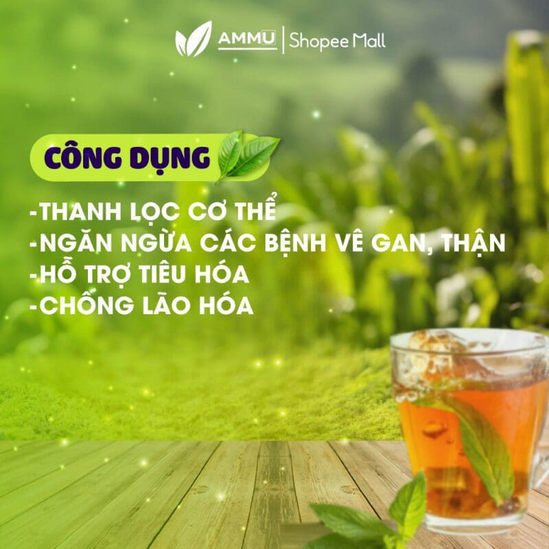 Atiso và ung thư: Có thể phòng ngừa được không? 7 6 23