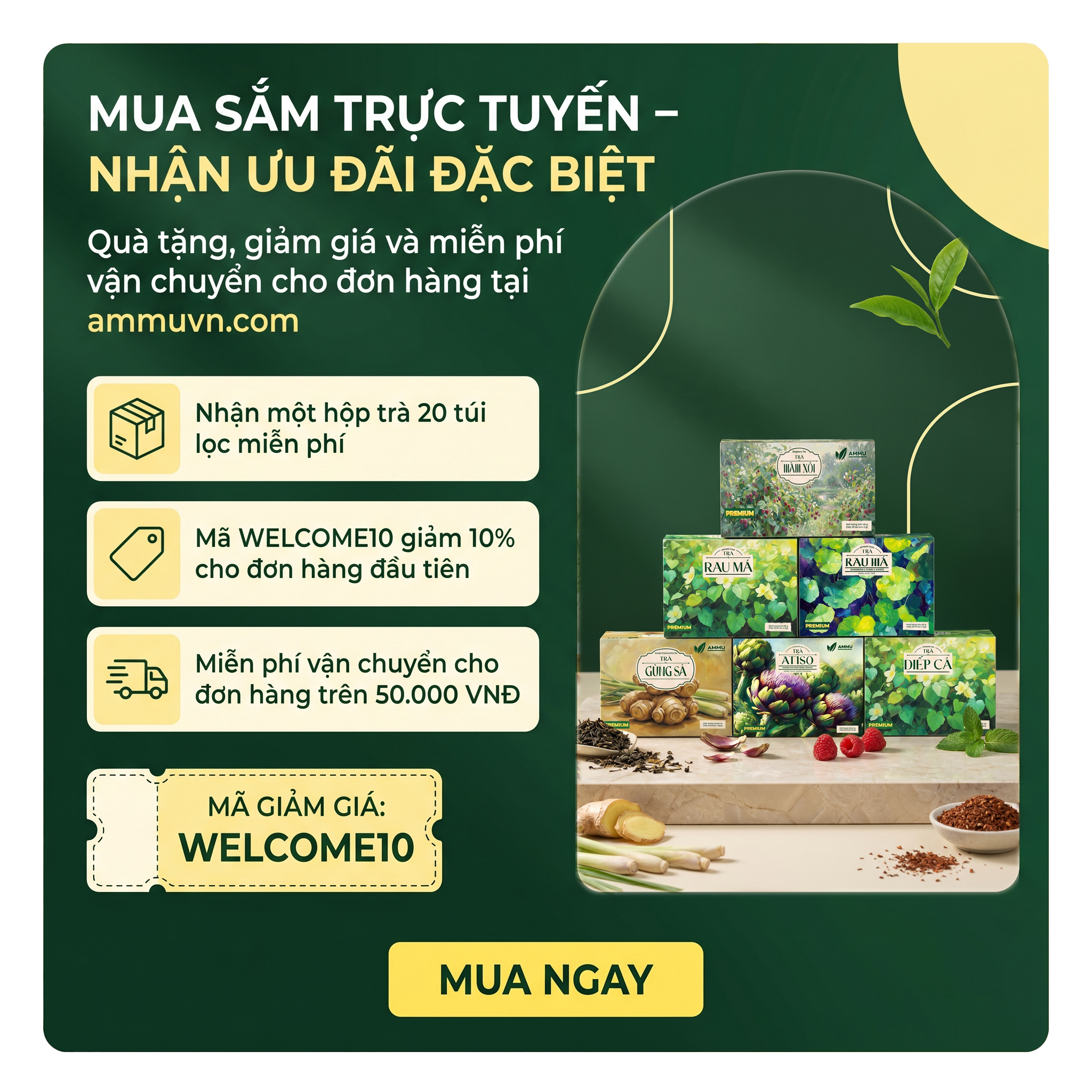 Ưu đãi website AMMU